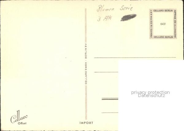 Blumen Margeriten Cellaro-Verlag Nr. 6431 – Bild 2