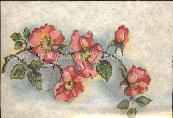Blumen