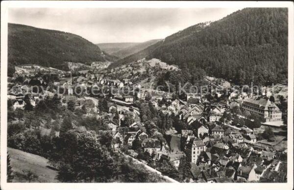 Wildbad Schwarzwald Ortsblick