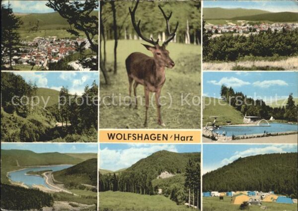 Wolfshagen Harz Total und Teilansichten Hirschmotiv Cam