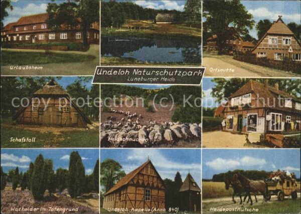 Undeloh Urlaubsheim Ortsmitte Schafstall Heidsc