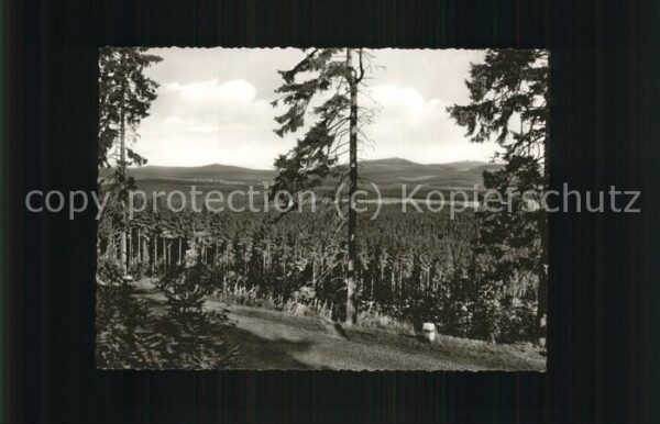 Hohegeiss Harz Blick auf Wurmberg und Achtermann