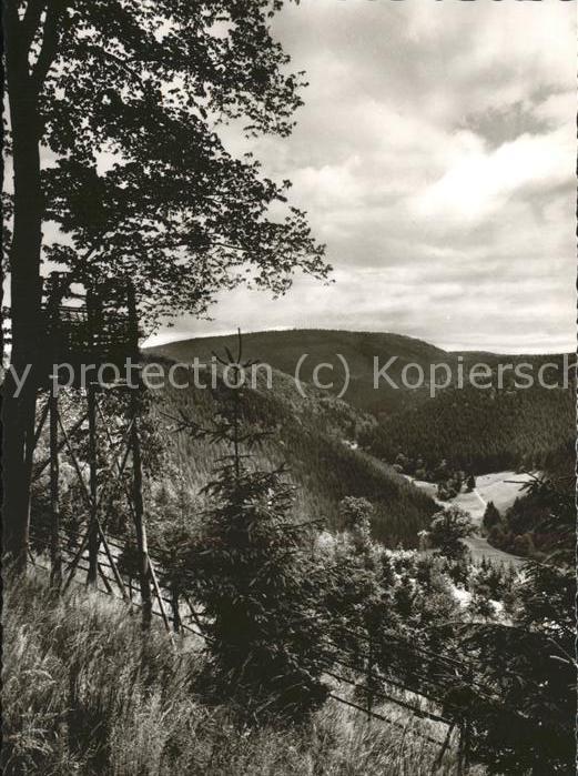 Hohegeiss Harz Blick ins Kunzenbachtal
