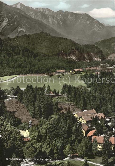 Birkenstein mit Brecherspitz