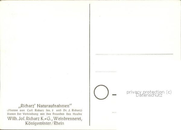 Bad Godesberg Godesburg – Bild 2