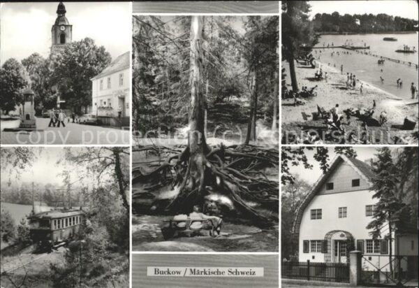 Buckow Maerkische Schweiz Markt Wurzelfichte Strandbad Brecht Wei