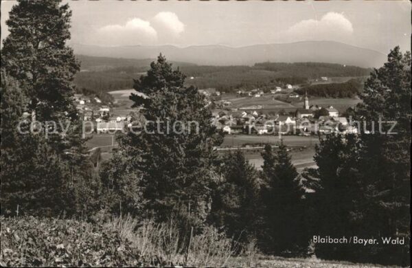 Blaibach Panorama Bayerischer Wald