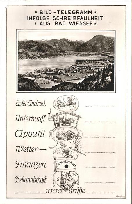 Bad Wiessee Gesamtansicht mit Alpenpanorama Tegerns