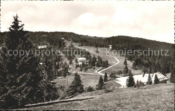Feldberg Schwarzwald Grafenmatte
