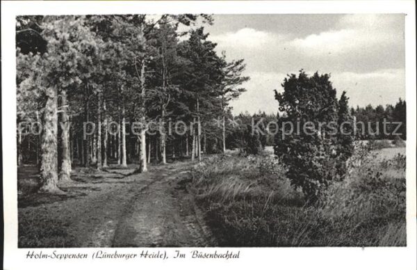 Holm-Seppensen Büsenbachtal Lüneburger Heide