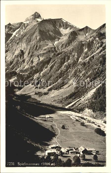 Spielmannsau Panorama Trettachtal mit Alpen