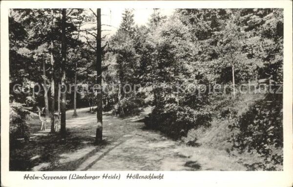 Holm-Seppensen Höllenschlucht Lüneburger Heide