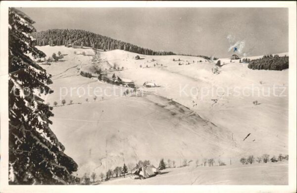 Ruette Todtnau Blick aufs Horn und Michael Fleiner Hau
