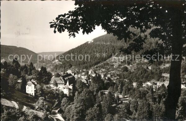Wildbad Schwarzwald Teilansicht