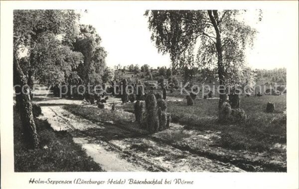 Holm-Seppensen im Büsenbachtal bei Wörme Lüneburger He