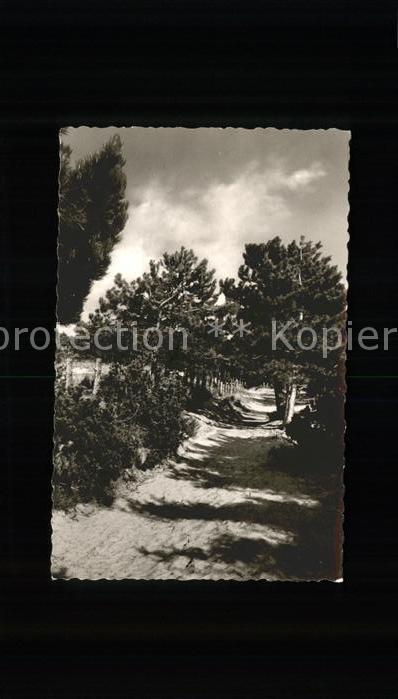 Sahlenburg Weg im Wernerwald Nordseeheilbad