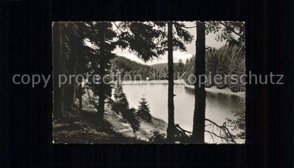 Altenau Harz Partie am Hüttenteich