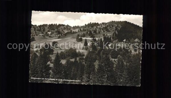 Blasiwald Teilansicht heilklimatischer Kurort