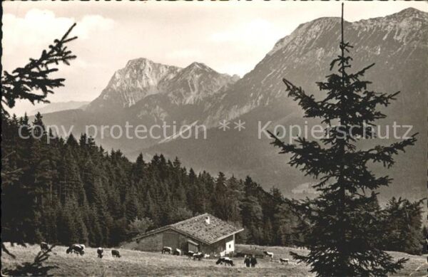 Inzell Bäckeralm mit Zwiesel und Hochstaufen C