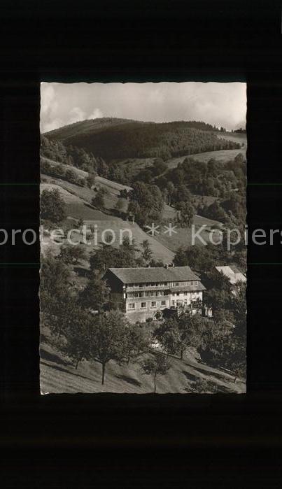 Holzinshaus Haus Sonnenhof Belchen