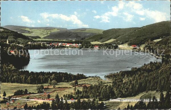 Titisee Panorama