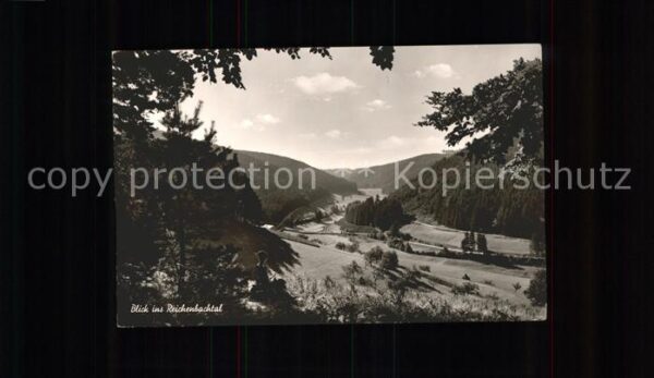 Klosterreichenbach Blick ins Reichenbachtal Schwarzwald