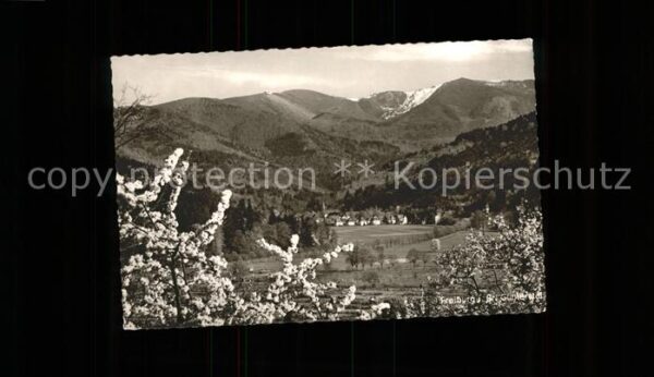 Guenterstal Freiburg Panorama Baumblüte Schauinsland