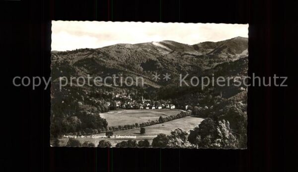 Guenterstal Freiburg Panorama mit Schauinsland