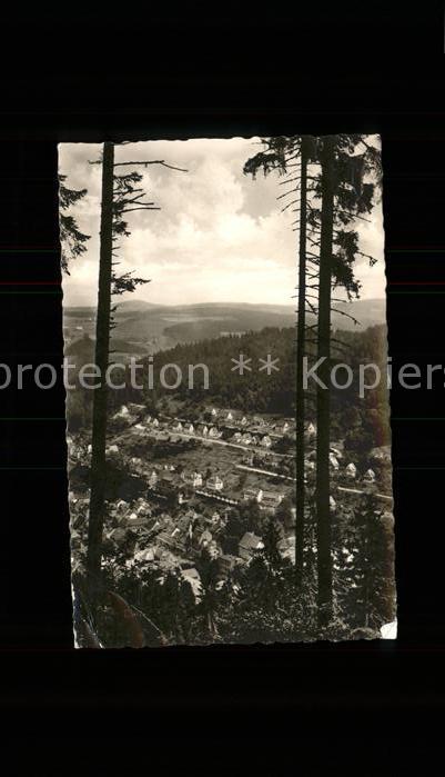 Triberg Schwarzwald Durchblick vom Waldrand