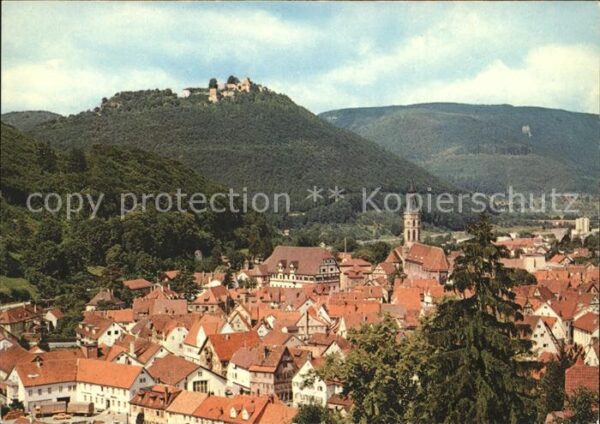 Bad Urach mit Blick auf Ruine Hohen Urach