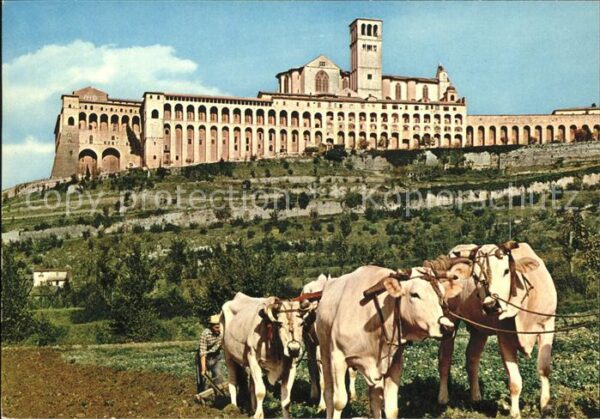 Assisi Umbria Sacro Convento Heiliges Mönchskloster F