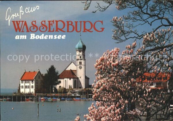 Wasserburg Bodensee Frühling Baumblüte Kirche