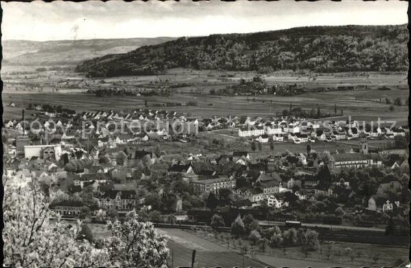 Gottmadingen Panorama Hegau Baumblüte