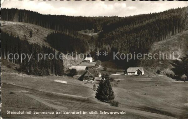 Sommerau Bonndorf im Steinatal südlicher Schwarzwald