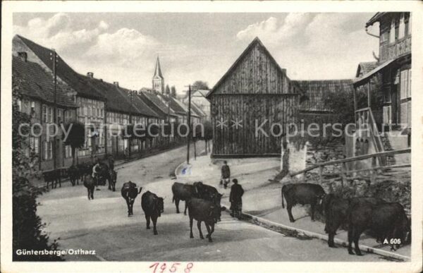 Guentersberge Dorfpartie Viehauftrieb