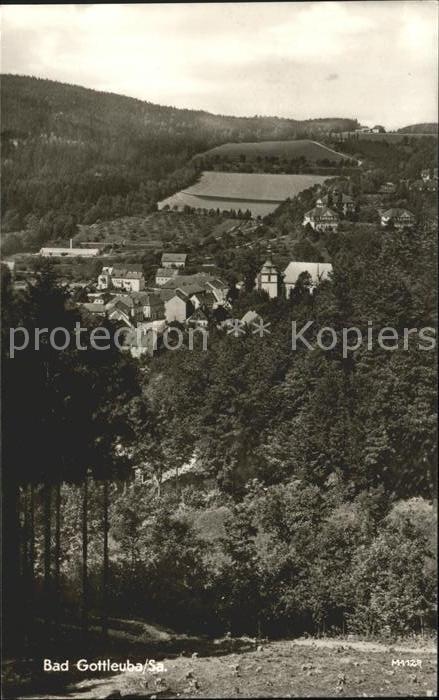 Bad Gottleuba-Berggiesshuebel Ortsblick