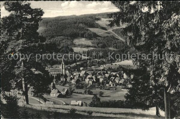 Titisee-Neustadt Totalansicht