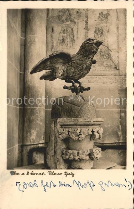 Ulm Donau Ulmer Spatz