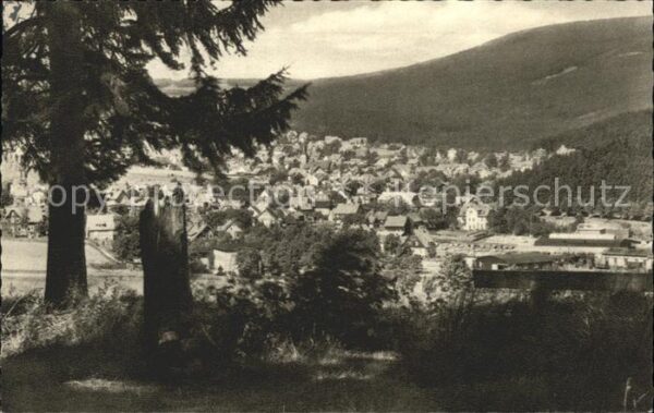 Braunlage Adamsblick