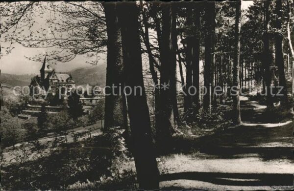 Kappelrodeck Schloss Rodeck