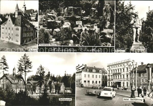 Hohenstein-Ernstthal Rathaus Versteinerte Bäume Bergmann Bet
