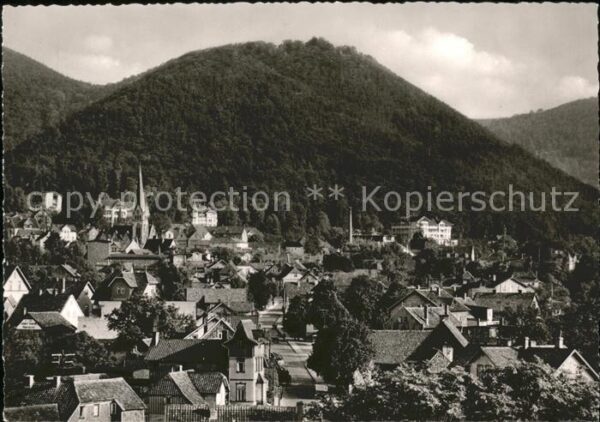 Bad Harzburg Ortsblick mit Burgberg