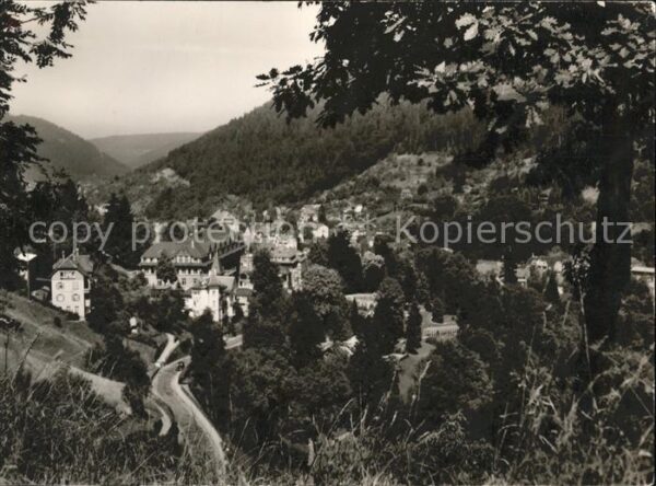 Wildbad Schwarzwald ortsblick