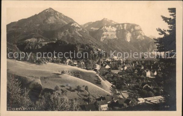 Dornbirn Vorarlberg Teilansicht mit Alpen