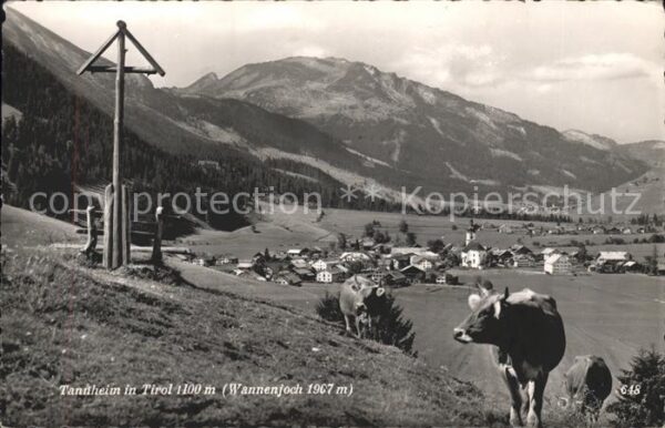 Tannheim Tirol Panorama mit Wannenjoch Allgäuer Alpen