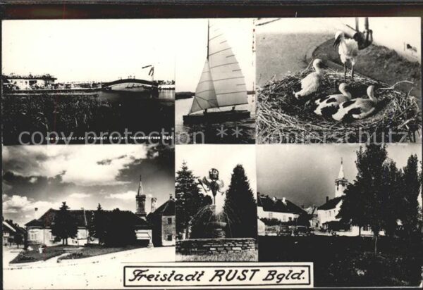 Rust Burgenland See Strandbad Neusiedlersee Storchennes