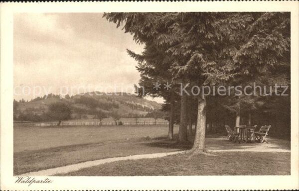 Wien Kuranstalt Weyer Waldpartie
