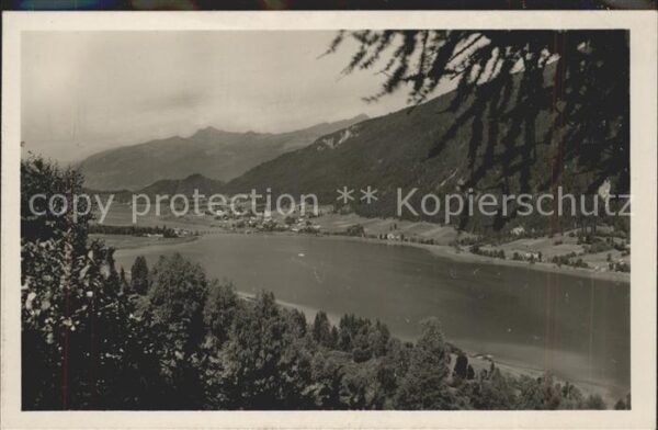 Weissensee Kaernten Seepanorama