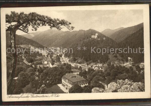 Gutenstein Niederoesterreich Gesamtansicht