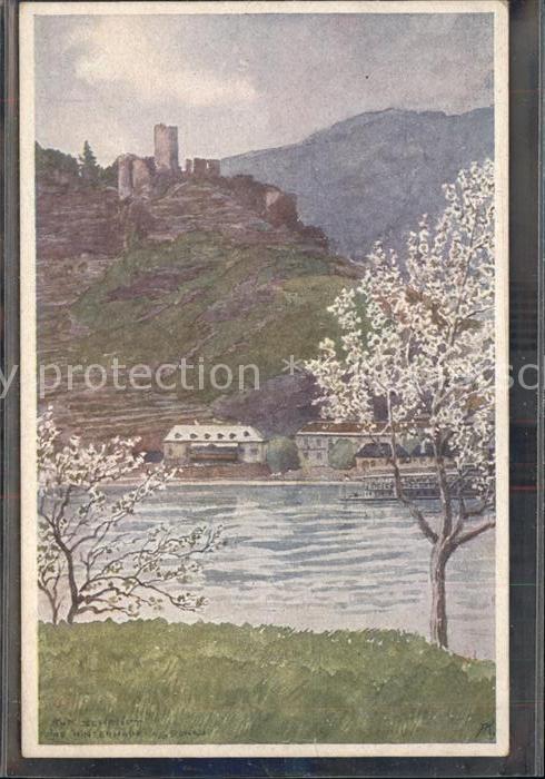 Spitz Donau Ruine Hinterhaus mit Donau Künstlerkart